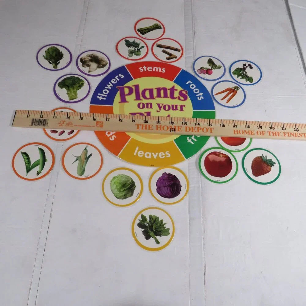 Plants on the Grow Extra Large BULLETIN BOARD SET LAMINATED  Classroom Posters